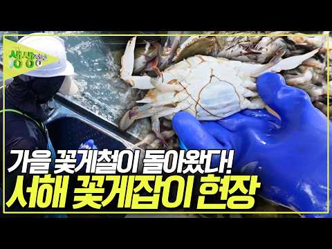 [2TV <strong>생생정보</strong>] KBS 260902 방송