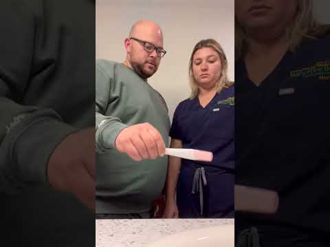 Pregnancy Announcement #pregnancy #shorts