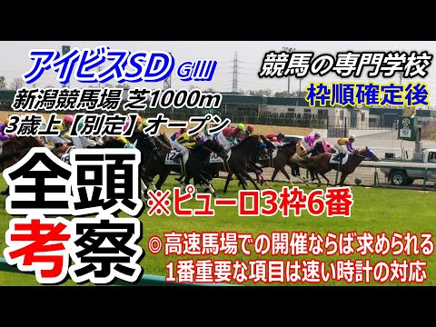【アイビスSD2025】全頭考察 高速決着に強い馬、弱い馬