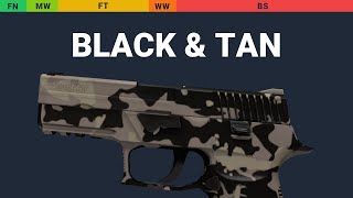 P250 Black & Tan Wear Preview