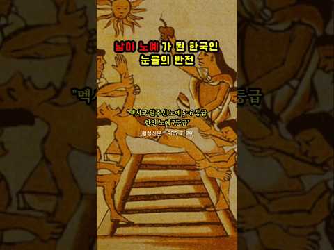남미 노예로 끌려간 한국인의 눈물의 반전 ㅠ