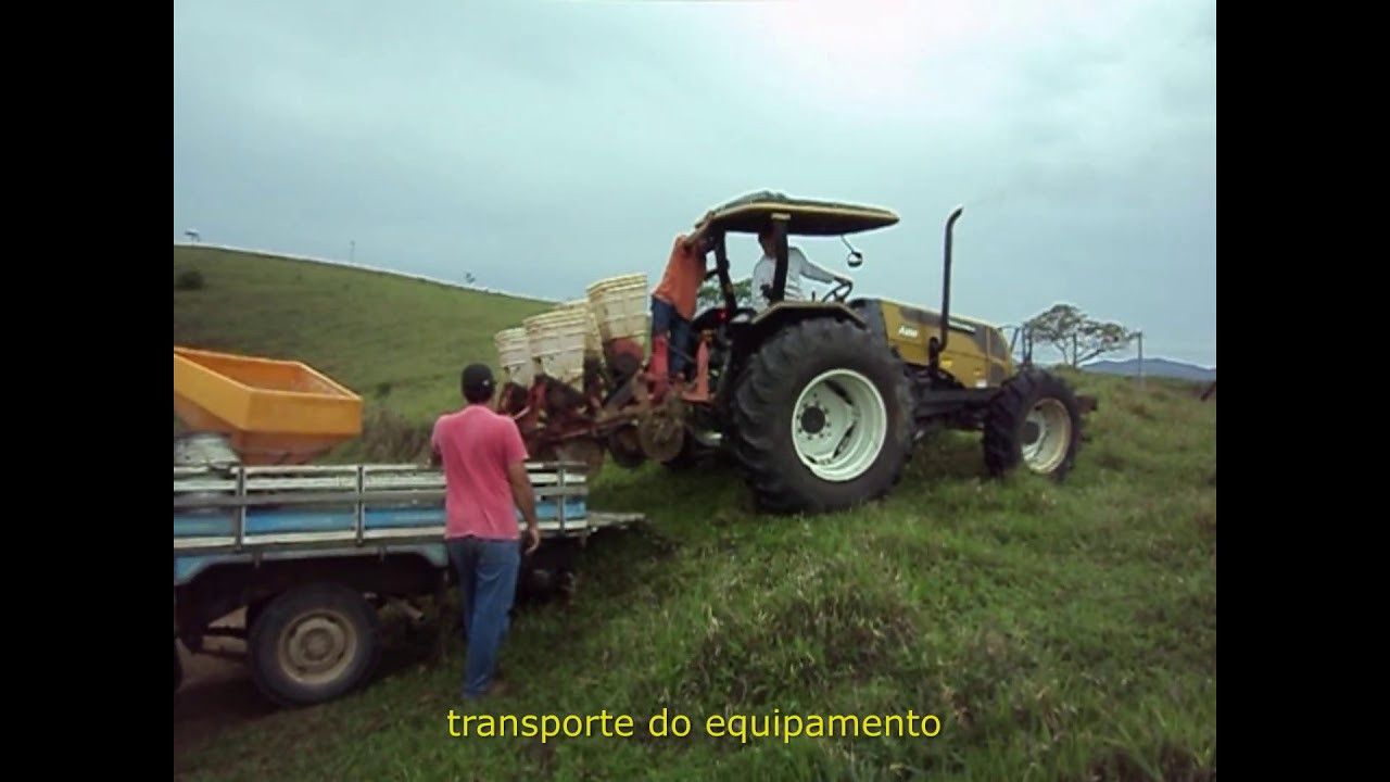 Passo-a-passo para plantio de milho em média escala