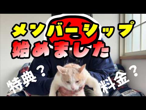 メンバーシップ開始のお知らせ