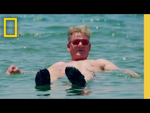 Gordon Ramsay’s Best Moments | Uncharted Season 4 | National Geographic