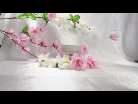 Stop Motion (Innisfree) Cover Image