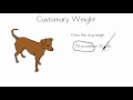 Weight Measurement and Estimation Concepts
