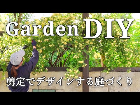 【剪定DIY】庭木の形をデザイン｜モッコウバラ剪定と6月の庭