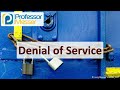 Denial of Service and Distributed Denial of Service Attacks