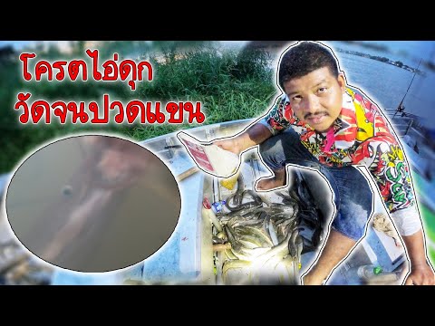 SFC-115-:-ออกล่าปลาดุกหน้าน้ำท่วม-(-เล่นสะจนปวดแขน) Mr.SanFishing CH SFC-115-:-ออกล่าปลาดุกหน้าน้ำท่วม-(-เล่นสะจนปวดแขน)