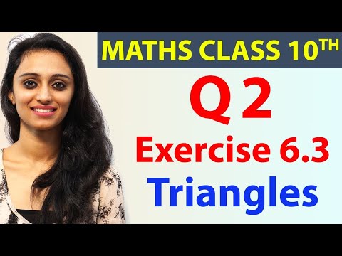 Q 2, Ex 6.3, Triangles, Chapter 6, Maths Class 10th - NCERT