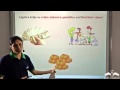 Understanding Algebraic Concepts and Applications
