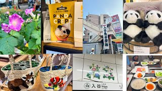 【 実写 】入谷朝顔市でぼんぼり出しました！買ったもの公開【 鬼灯いりや 】