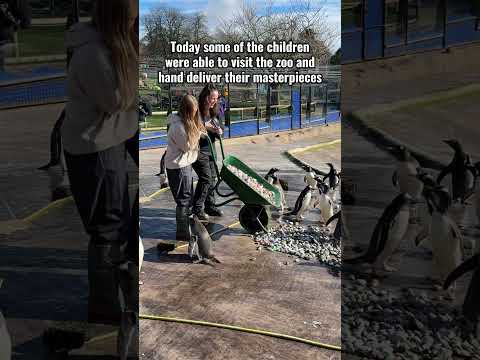 Children paint pebbles for penguins | Edinburgh Zoo