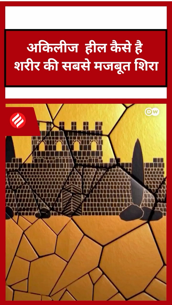 अकिलीज हील कैसे है शरीर की सबसे मजबूत शिरा.#tissueregeneration #achillesheel #dw #dwhindi #shorts