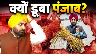 Punjab Flood Live Updates: क्यों डूबा पंजाब | The Truth Behind Punjab’s Floods | yamuna river Delhi