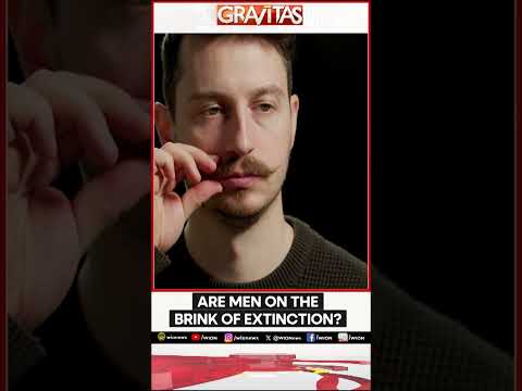 Are men on the brink of extinction? | Gravitas | World News | WION Shorts