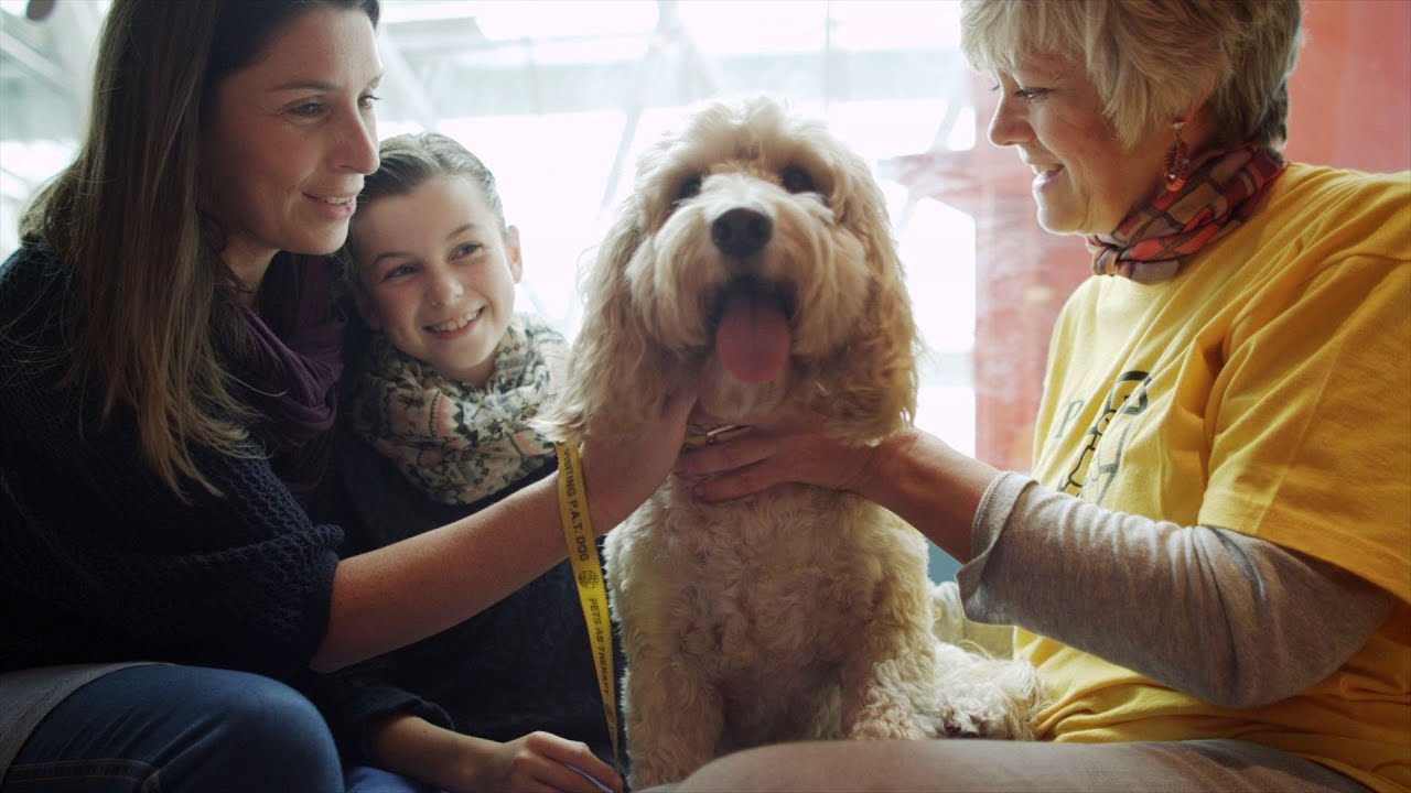 Dog Helps Sick Child Secret life of Dogs BBC