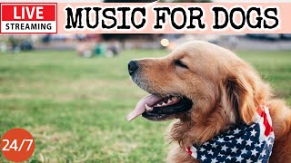 🔴[LIVE] Dog Music 🐶🎵Music for Anxious Dogs 🐶🎵Separation Anxiety Relief💖🦮Dog Deep Sleep Music🔴19