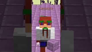 El PROBLEMA de los HAPPY GHAST en el END!