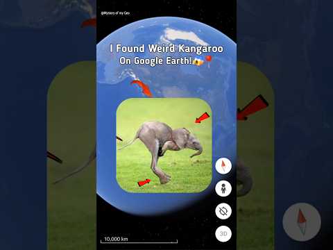 😰 I Found Weird Kangaroo On Google Earth and Google Maps! 📍🗺️ #shorts #mysteryofmygeo