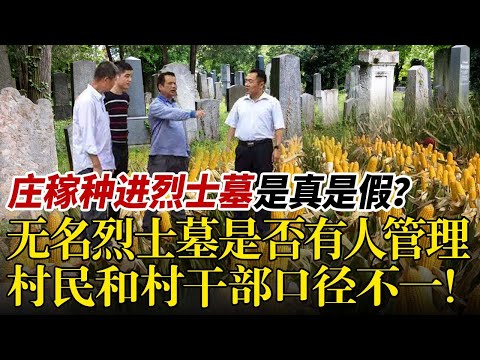 无名烈士墓地却被种起花生山药？烈士陵墓不仅无人修缮，甚至开始遭到破坏！背后原因令人气愤#真相调查