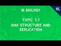 Exploring DNA Structure and Replication