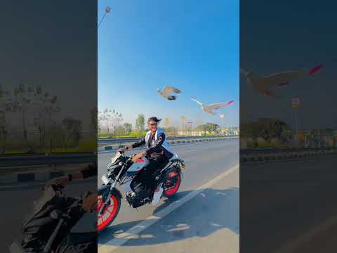 power me hum 🕊️🤯💯 #publicreaction #kabutarlover #trending #pigeonlover #ytshorts #pigeon #shortfeed