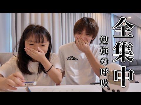 【study with me】夏休みの宿題を一緒に終わらせよう！【30分間】