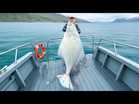 We Hunted GIANT Halibut in the Arctic Ocean (Norway Spearfishing Film)