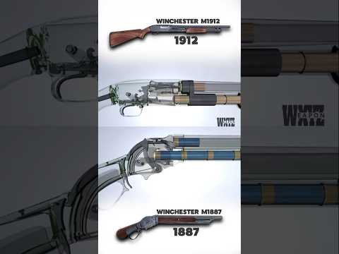 Pump action x Lever-action | Winchester M1912 vs Winchester M1887