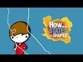 Understanding State Borders and Shapes