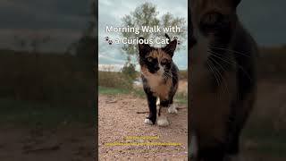 🐾 Cute Cat – Soft Chill Vibes ✨