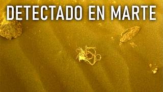 ¿Hay realmente solo rocas en Marte? | Rover Perseverance