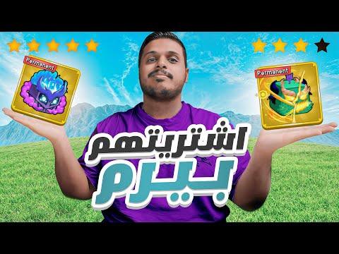 بلوكس فروت : اشتريت فاكهة الدراقون و القاز 🔥🤯 ( سويت لكم قيف اواي عليها 🎁 ) Blox Fruite !!