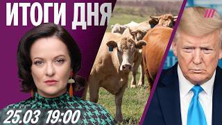 Скот сжигают заживо. Детям хотят запретить телефоны. Трамп готовит наземную операцию в Иране?