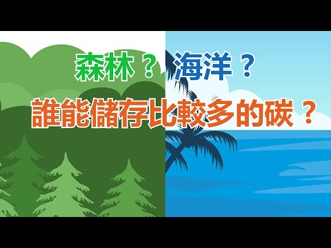 【森林VS海洋，誰能儲存較多的碳 ?】氣候變遷下藍碳戰略 - YouTube(5:19)