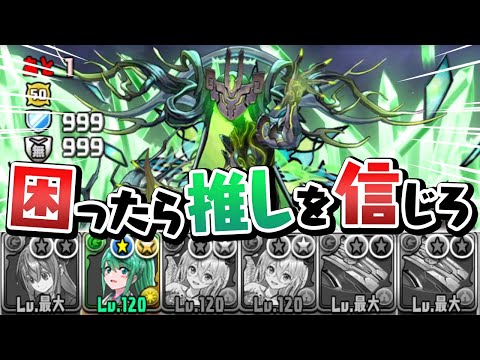 木属性潰しのチャレダン13を木属性でクリアしたい【パズドラ】