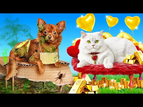 🐱 Cat vs Dog Crafts! Whose DIY Skills Are Better?