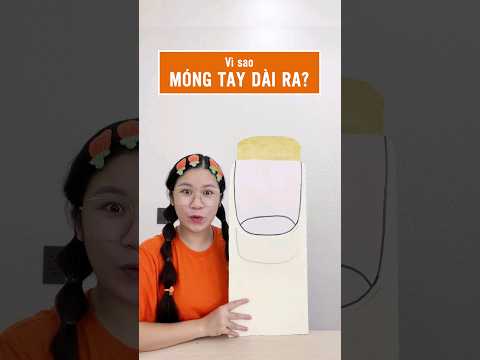 Vì sao móng tay lại dài ra ? #Shorts #Leeciehayhoi
