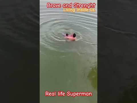 A Moment of Strength, A Lifetime of Gratitude – Child Saved from Danger #lifesaving #life #superman
