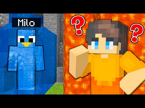 ONE COLOR CAMOUFLAGE Hide and Seek in Minecraft Prop Hunt