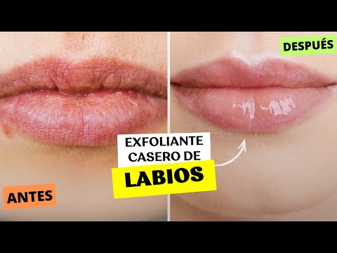 exfoliante para labios casero CON 2 INGREDIENTES/FABI ZEA