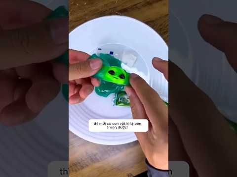 Có con vật kì lạ trong hộp kem đánh răng