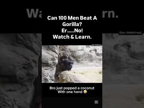100 Men vs Gorilla #scienceshorts #100menvs1gorrila #gorilla
