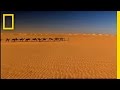 Sahara Desert and the Tuareg People