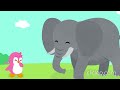 Animal Sizes and Descriptions