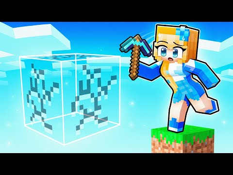 I Trapped My Friend in a Fake One Block World!