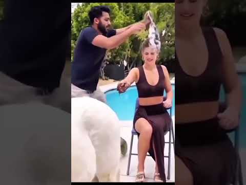 Watermelon Horse Prank Edit #prank #funnyprank #funny