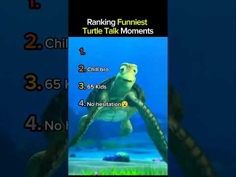 Ranking Funniest Turtle Talk Moments