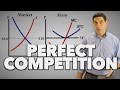 Understanding Perfect Competition